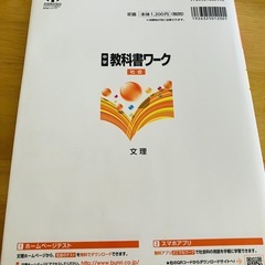 教科書ワーク 地理 美品 未記入の画像