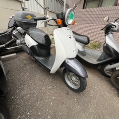 Today❣️他在庫多数飛込見学大歓迎の画像