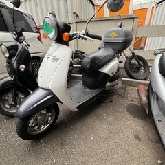 Today❣️他在庫多数飛込見学大歓迎の画像