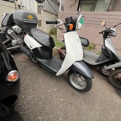 Today❣️他在庫多数飛込見学大歓迎の画像