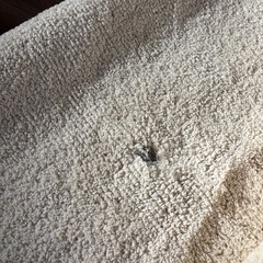 ラグ　マット　3畳ほどの画像