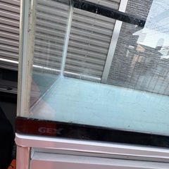 90 水槽　GEX 90cm 
水槽 の画像