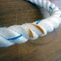 ☆新規格品 藤井電工 柱上安全帯 胴綱 ワークポジショニング用器具 ロープΦ16mm ツヨロン ランヤード U字吊り 電気工事 高所作業 札幌市 豊平区 平岸店の画像