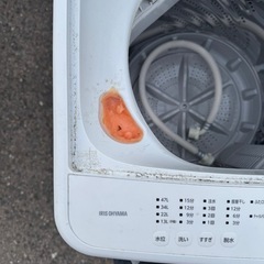 アイリスオーヤマ 2024年 5kg 洗濯機の画像