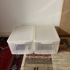 プラケース2個お譲りします
の画像