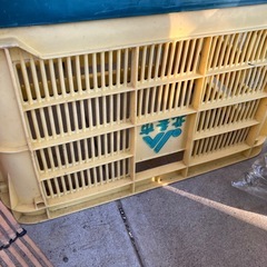 みかんキャリー4個の画像