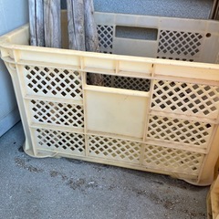 みかんキャリー4個の画像