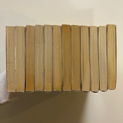 黄昏流星群 （ビッグコミックス） 弘兼憲史／著　1巻2巻9巻11巻19巻21巻23巻26巻28巻37巻38巻45巻の全12冊セットの画像