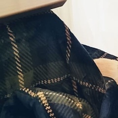 NITORI ニトリコタツ布団 丸 円形 220の画像