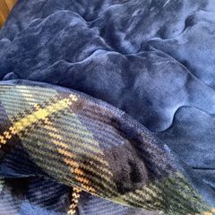 NITORI ニトリコタツ布団 丸 円形 220の画像