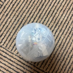 AKB48 衣装トルソー　ポニーテルとシュシュの画像