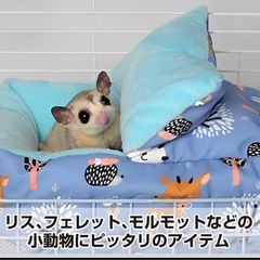 小動物　ペットベットの画像