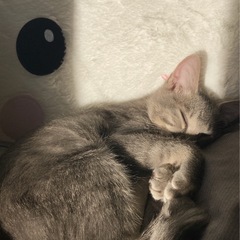 お家決まりました😊