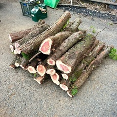 ⭐️針葉樹の丸太差し上げます。薪に最適！の画像