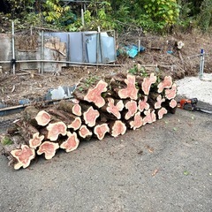 ⭐️針葉樹の丸太差し上げます。薪に最適！の画像