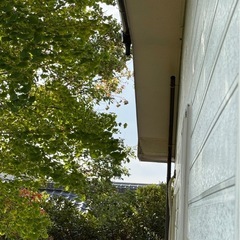 【千葉県山武市】床工事と雨樋補修の画像