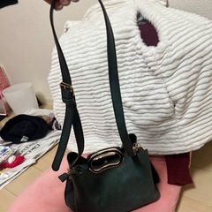 緑のバッグの画像