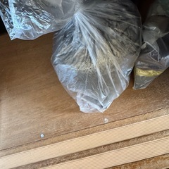 25キューブ水槽とオマケエビの画像