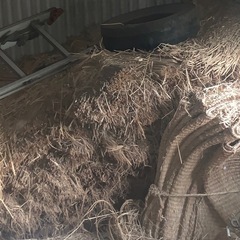 藁の画像