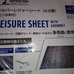 【売約済】レジャーシート大判（4.5畳）の画像