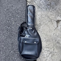 Suzuki マンドリンの画像