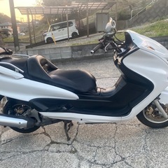 マジェスティC【508】の画像