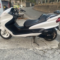 マジェスティC【508】の画像