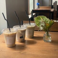 【岐阜】ベリンゲイカフェで 20代限定出会いカフェ会