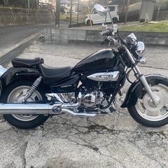 GV250【509】の画像