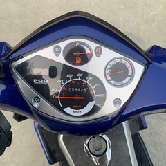 125cc pgo alloro 実動の画像