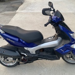 125cc pgo alloro 実動の画像