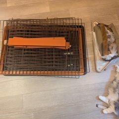 ウッドワンサークルキャット ペットけーじケージ 2段タイプの画像