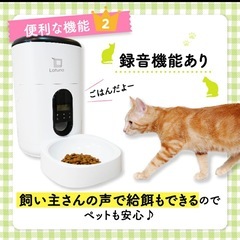 猫、犬 自動給餌器の画像