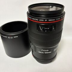 キャノン　5DmarkⅣ+EF100+EF16-35+272E  一眼レフセット の画像