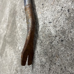 1000円均一の画像