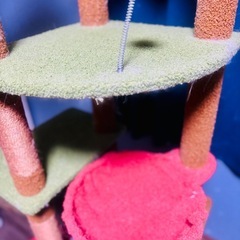 170cm以上のキャットタワー　上の部分なしの画像