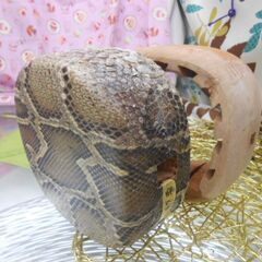 新品未使用現品販売13.500円　盛嶋開鐘蛇皮チーガ　　古典向け完成品の画像