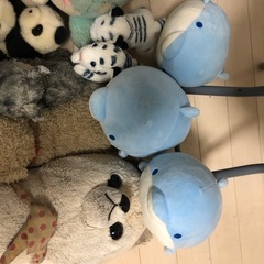 ぬいぐるみ 犬 猫 イルカ パンダ 色々セットの画像