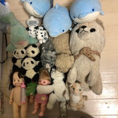 ぬいぐるみ 犬 猫 イルカ パンダ 色々セットの画像