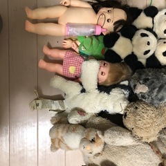 ぬいぐるみ 犬 猫 イルカ パンダ 色々セットの画像