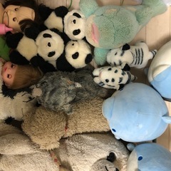 ぬいぐるみ 犬 猫 イルカ パンダ 色々セットの画像