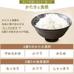 アイリスオーヤマ 炊飯器 3合 RC-ME30-B マイコン式の画像