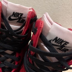 SPECIAL FIELD AIR FORCE 1(23.5㌢)の画像