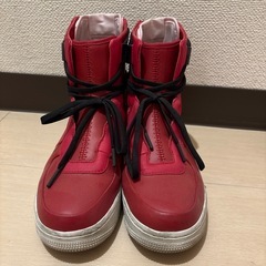 SPECIAL FIELD AIR FORCE 1(23.5㌢)の画像