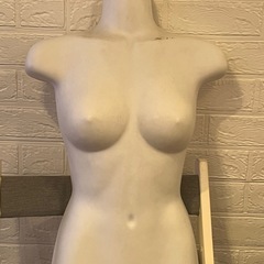 トルソーの画像