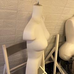 トルソーの画像