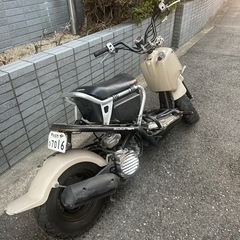 ズーマー　インジェクションの画像