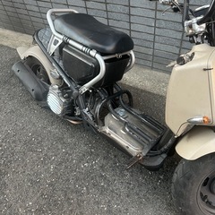 ズーマー　インジェクションの画像