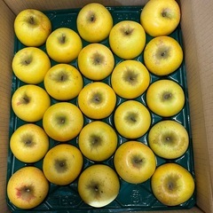 豊水梨1個の画像