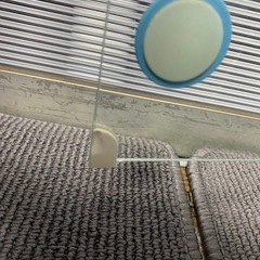 グラスハーモニー 450の画像